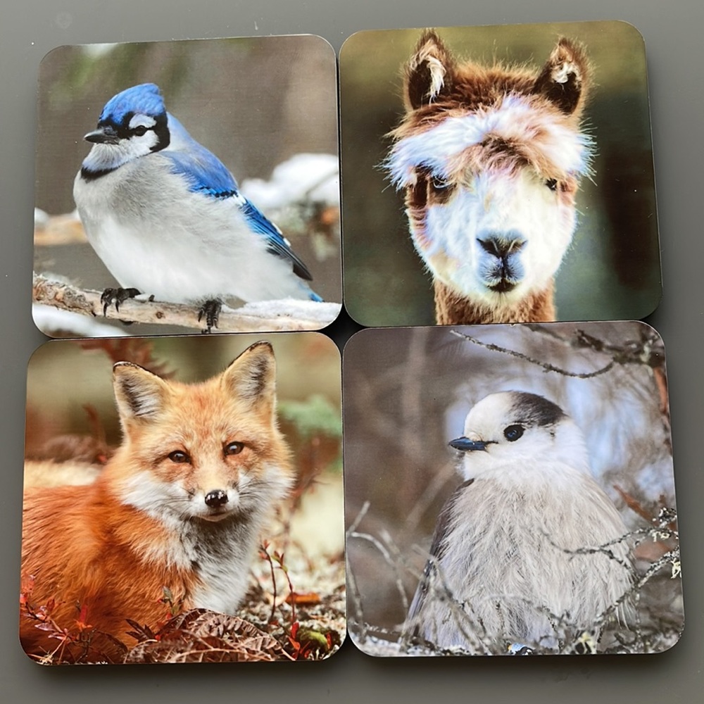 Set of 4 beautiful coasters photography by CarolNorris